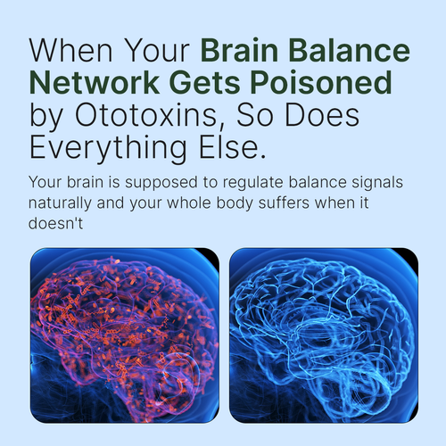 FortisCortex - Maximum Potency Brain Balance & Clarity Capsules